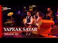 Download Lagu Yaprak Sayar - Yolculuk Var