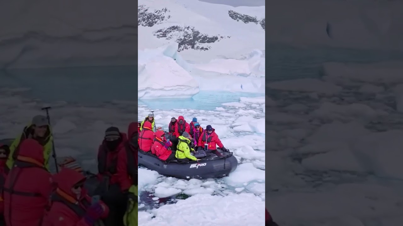Expedition Week - CLIA Cruise Month #lovecruise