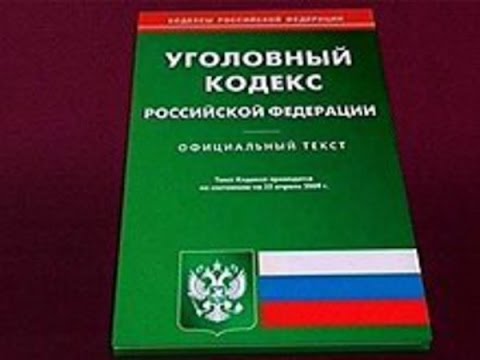 УК РФ, статья 33, Виды соучастников преступления, ФЗ 63, Уголовный Кодекс