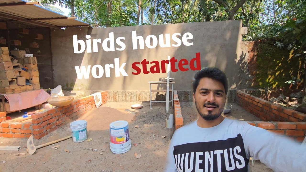 Birds ki colony ka kaam start ho gaya 🏠 