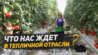 Как выживает тепличная отрасль.Что нас ждет: плохие и хорошие новости. Как нам досталось в Гостомеле