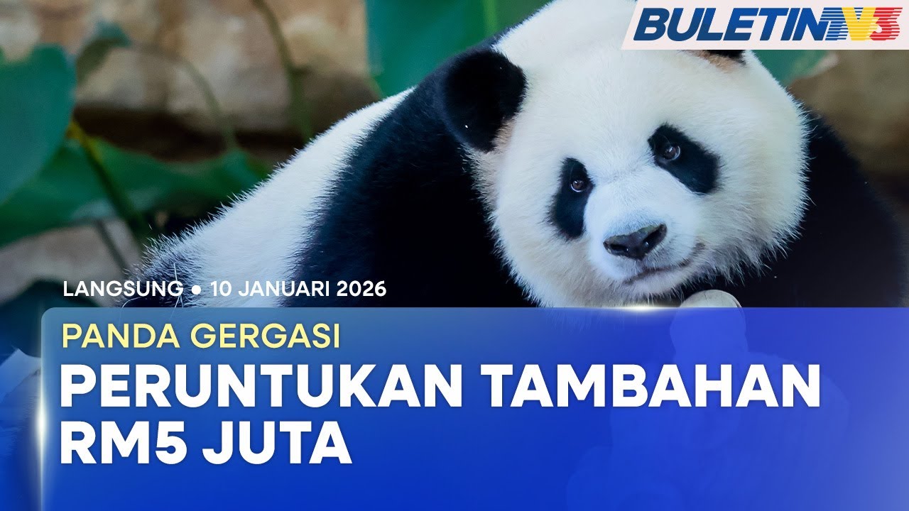 [PENUH] Pembukaan Rasmi Pusat Konservasi Panda | 10 Januari 2026 - YouTube