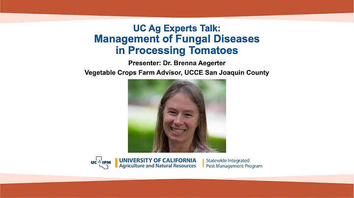 UC Ag Experts Talk: Management of Fungal Diseases in Processing Tomatoes