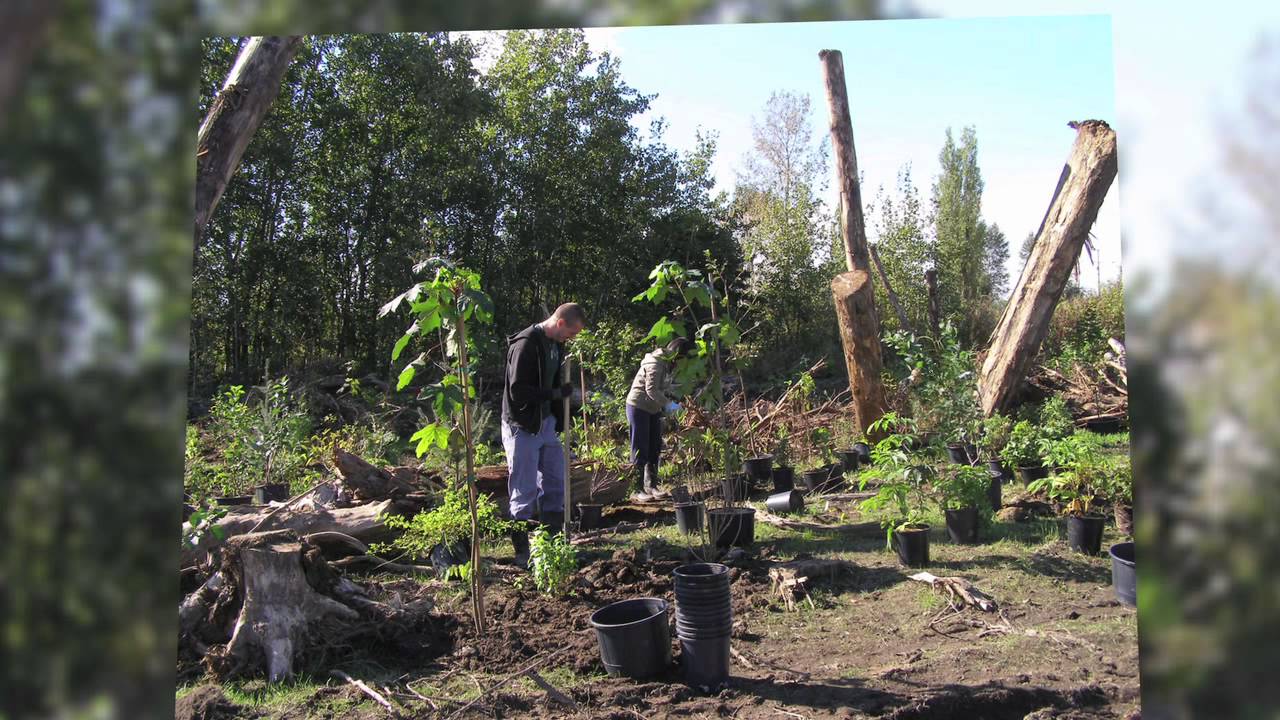 2011 Water Grant: Langley Environmental Partners Society