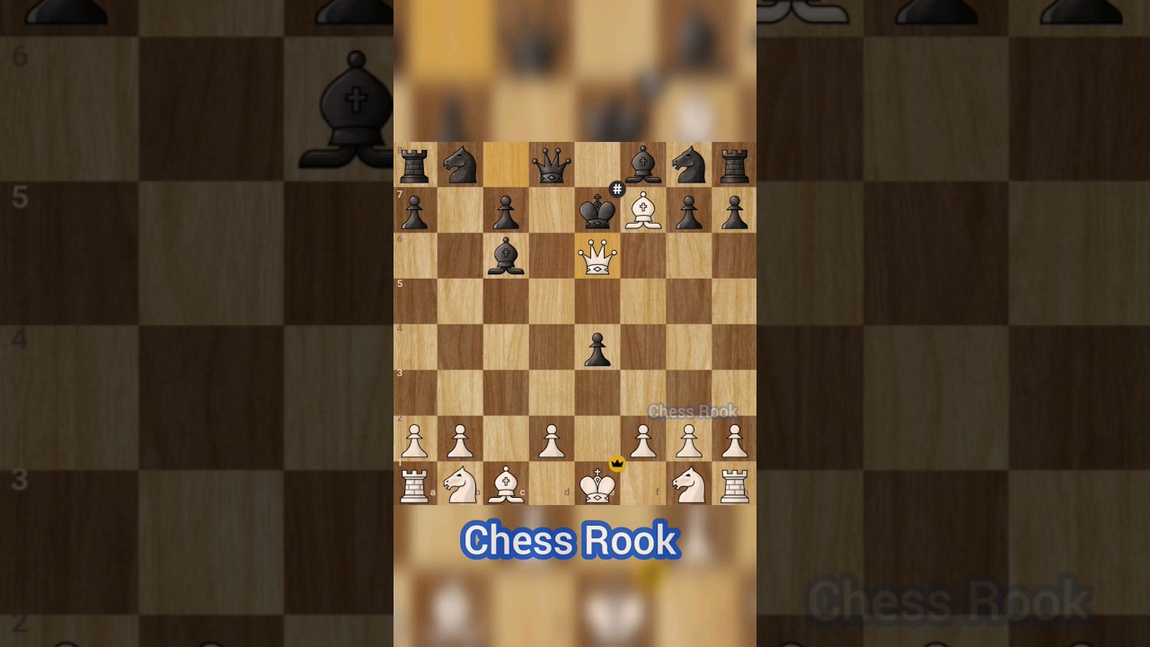 Chess openings - French defense - RookieRook