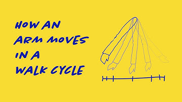 Arm In A Walk Cycle
