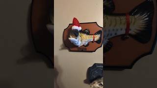Gemmy Christmas big mouth Billy bass #gemmy #christmas #santa #fish #bigmouthbillybass