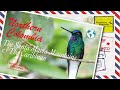 Tropical birding virtual birding tour of northern colombia by jose illanes