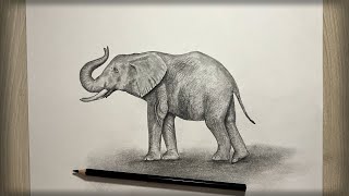 Cómo debujar un Elefante|paso o paso|Рисуем Слона|elephant|mejor