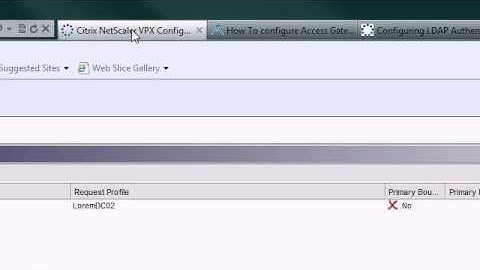Citrix: Netscaler9.3: Creating LDAP Authentication Policy for Access Gateway