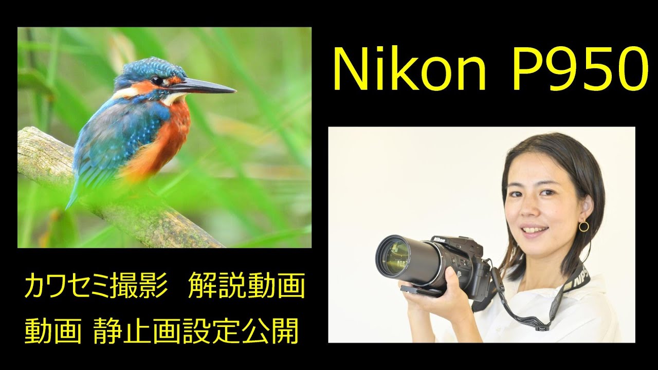 Nikon P　カワセミ撮影　静止画　動画　設定公開