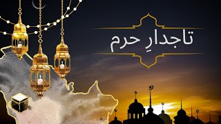 Tajdar-E-Haram The True Beauty Of The Islamic Masterpiece -E-Haram