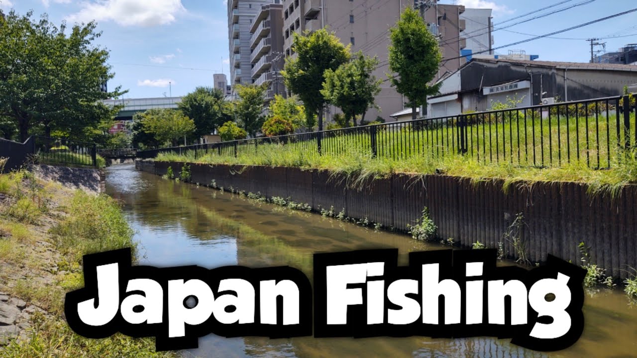 Microfishing an Urban Canal in the Middle of Osaka | Japan Fishing 🇯🇵