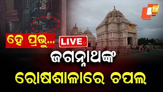 LIVE Odisha News Odia News OTV