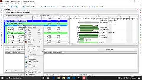 Construction Project Management - Project assignment for Skyfi Labs Online Course - by Aparna Khare