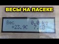 Весы на пасеке.