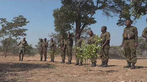 Zimbabwe's Brave Ones: The world's first all-female anti-poaching unit