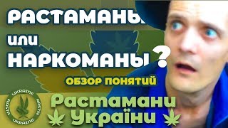 Растаманы Или Наркоманы? Обзор Понятия - Растаман! 🔴 Розыгрыш 🔴