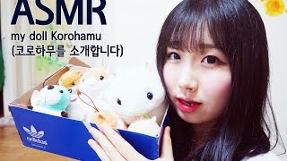 [한국어 ASMR ,  ASMR Korean ] my doll Korohamu (코로하무를 소개합니다)