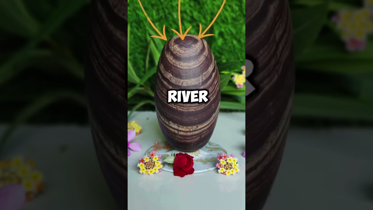 Watch Best Shivling for Home: Vastu & Energy Tips | Shivling Placement Explained by Astro Richa on YouTube Watch Best Shivling for Home: Vastu & Energy Tips | Shivling Placement Explained by Astro Richa on YouTube