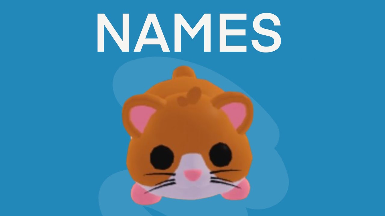 best-names-for-hamster-in-adopt-me-roblox-youtube