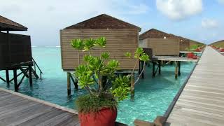 meeru  island resort Maldives hotel