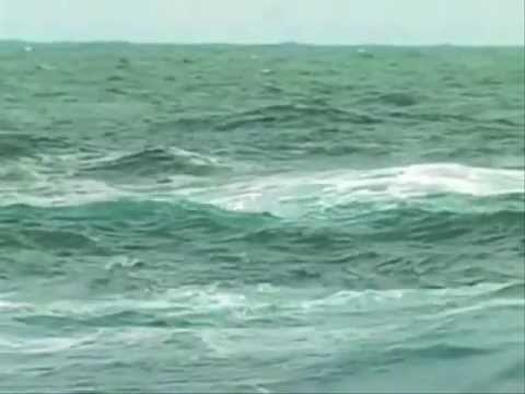 mar , sea ( relax ) video player