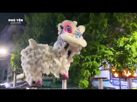 Video Lân Trắng Hồng Phú Lên Mai Hoa Thung Tuyệt Đỉnh Công... - youtube