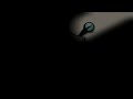 New Social Media & Channel Logo Reveal
