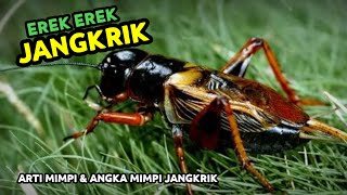EREK EREK JANGKRIK 2D 3D 4D & ARTI MIMPI TENTANG JANGKRIK