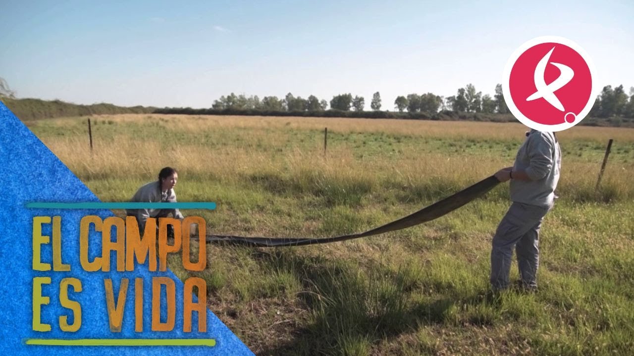 Isabel y Lidia ya no necesitan la goma de riego | El campo es vida