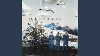 ЧЁРНАЯ СМОРОДИНА - ВСИГМЕ