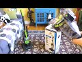 Bissell PowerForce Compact Turbo with Turbo Brush | Power Force Vacuum | Demo and Review