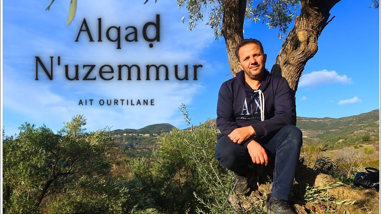 Agmar N Uzemmur  - جني الزيتون تقليد عاىلي تتواراثه الأجيال