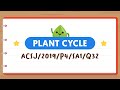 PSLE Science: Plant Cycle Quiz