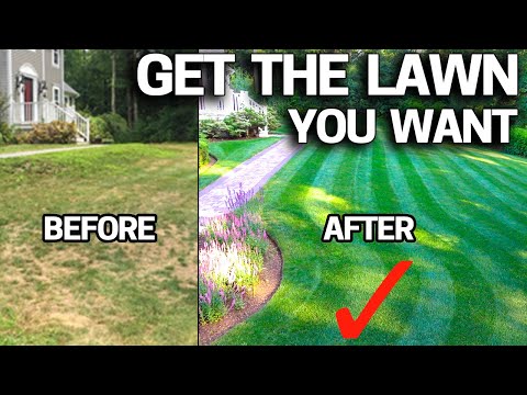 improvements to lawns