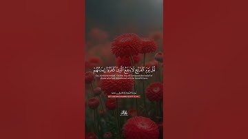 وَیَقُولُونَ مَتَىٰ هَـٰذَا ٱلۡفَتۡحُ || طارق محمد || من سورة السجدة