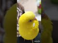 社長ともデキてたトリ