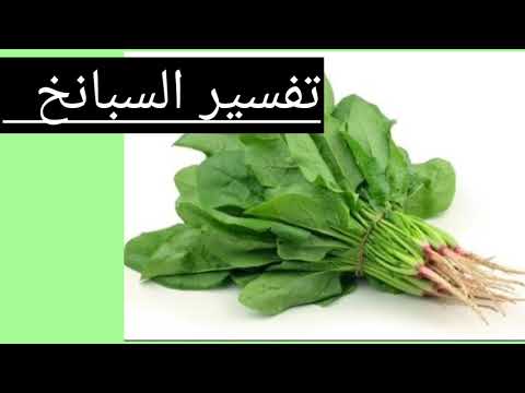 تفسير الخضروات الورقيه في المنام