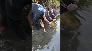 Catch Big Mud Crabs In The Mangrove Forest After The Sea Low Tide | BONG VATH |