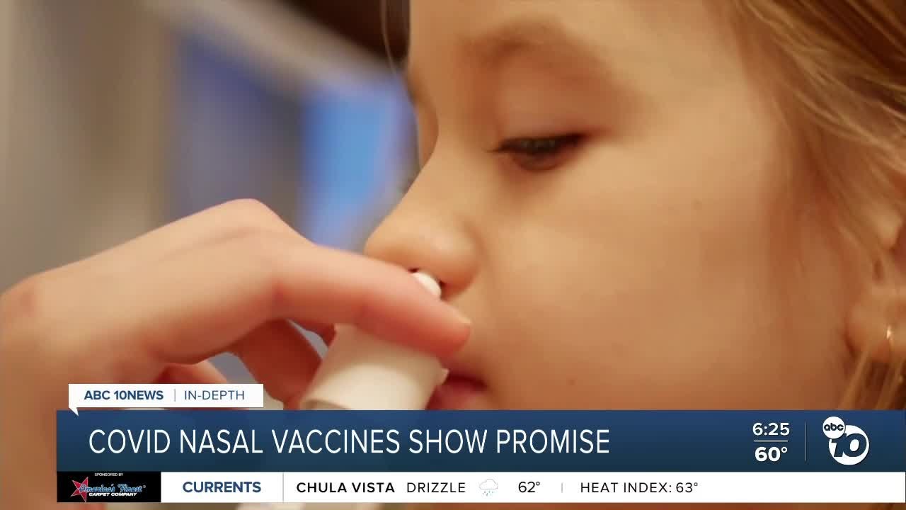 COVID nasal vaccines show promise - YouTube
