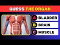 Guess the Organ in 3 Seconds — Quick Human Body Quiz (30 Questions)