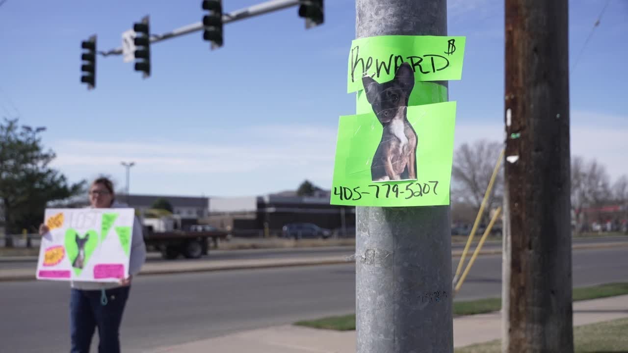 Oklahoma woman finds support during search for missing dog in Billings ...