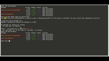 How to update  nodered packages, from cli.