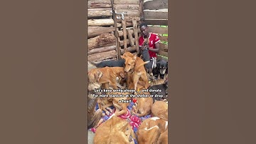 Donate via PayPal link in our bio or WhatsApp message me