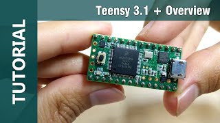 Download lagu Teensy 3 1 32 Bit Arduino IDE Compatible Microcontroller Overview Teensy 3 1 32 Bit Arduino IDE Compatible Microcontroller Overview