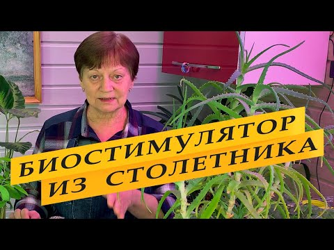 Стимулятор роста, подкормка для рассады и взрослых растений.