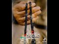 يا مولانا اتولنا شلش مصر حمو الطيخا يا مولانا اتولنا شلش مصر حمو الطيخا