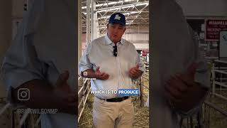 WAGIN WOOLORAMA: Fighting For Our Sheep Farmers 🐑