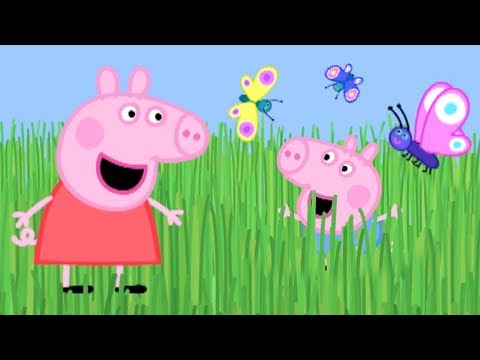 Świnka Peppa | Wysoka trawa! | Bajki Po Polsku | Peppa po Polsku